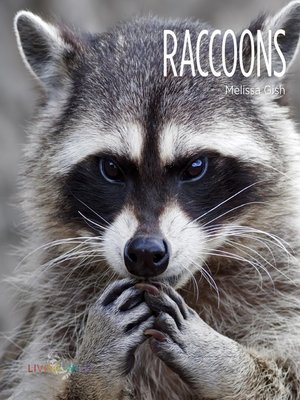 cover image of Raccoons